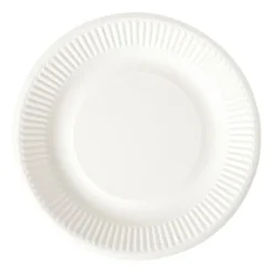 Bagasse bord - wit - ø18.5x2 cm