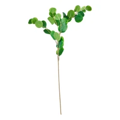 Bamboe tak rond - 90 cm