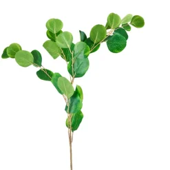 Bamboe tak rond - 90 cm