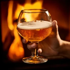 Bierglazen speciaal - 60 cl - set van 4