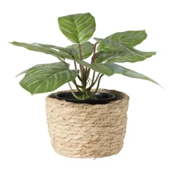 Bloempot Aaron - ø15x11 cm