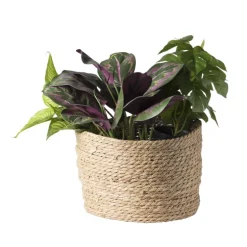 Bloempot Aaron - ø26x18 cm