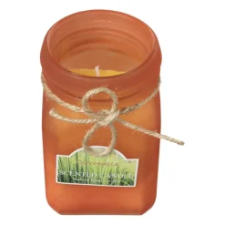 Citronella kaars - diverse varianten - ø6.5x11.5 cm