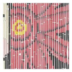 Deurgordijn Frida met vogel - bamboe - 200x90 cm