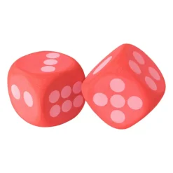 Dobbelstenen groot - 6x6cm - set van 2