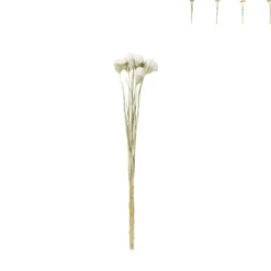 Droogbloemen - diverse varianten - 38 cm