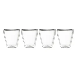 Dubbelwandige glazen - 350 ml - set van 4