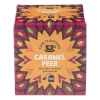 Fine flavours vruchten thee - caramel peer - 10 zakjes
