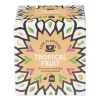 Fine flavours vruchten thee - tropical fruit - 10 zakjes
