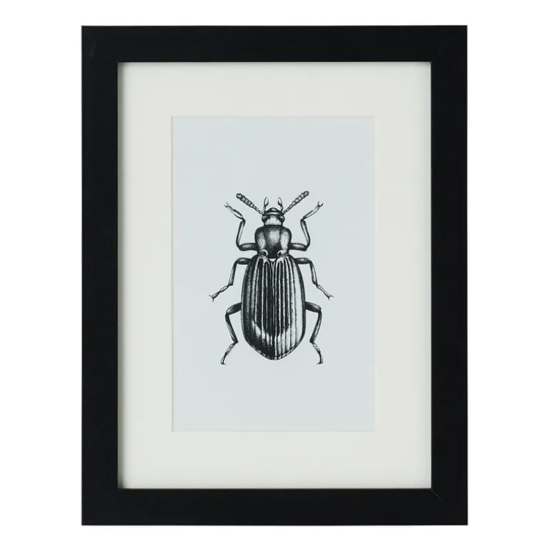 Fotolijst met passe partout - zwart - 10x15 cm