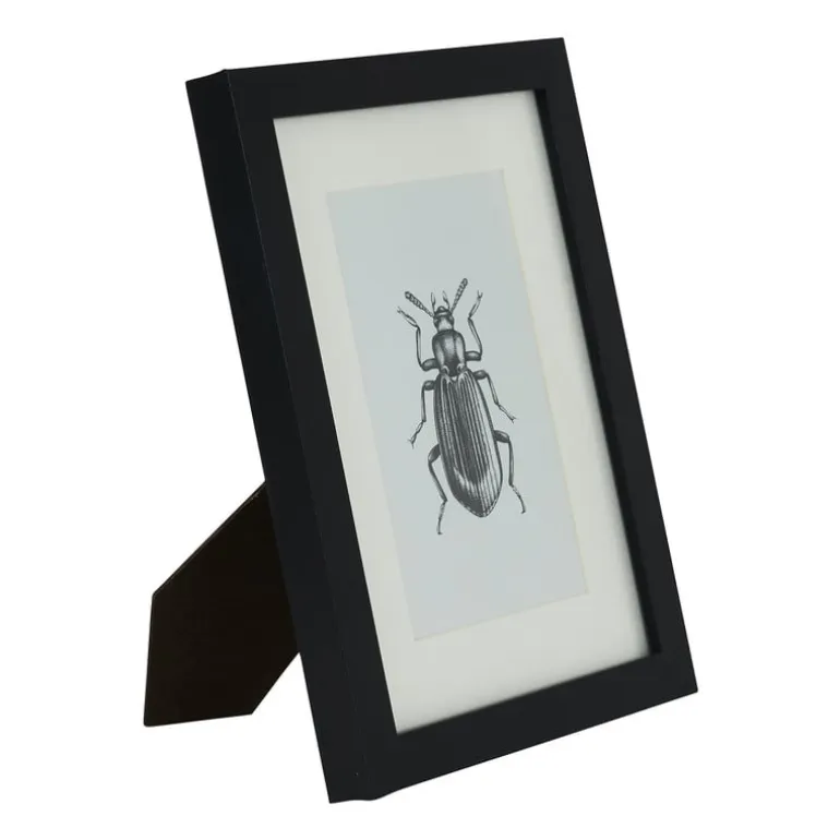 Fotolijst met passe partout - zwart - 10x15 cm