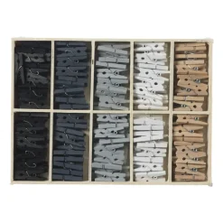 Houten knijpertjes in kistje - multikleur