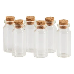 Mini flesjes met kurk - 6 stuks - 6x10 ml