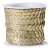 Pailettenband - goudkleurig - 5 meter