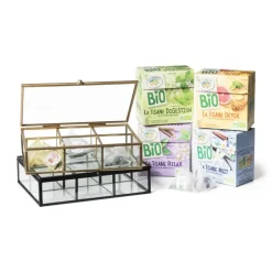 Theedoos - 20x15x5 cm - goud