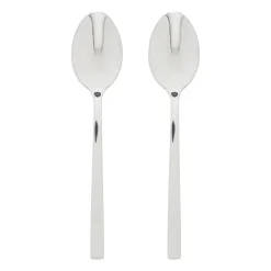 Theelepels - zilverkleurig - set van 2