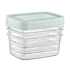 Vershoudbakjes - 500 ml - set van 3