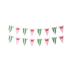 Vlaggenlijn 30 jaar - groen - 10 meter