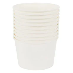 Wegwerpbakjes - set van 10